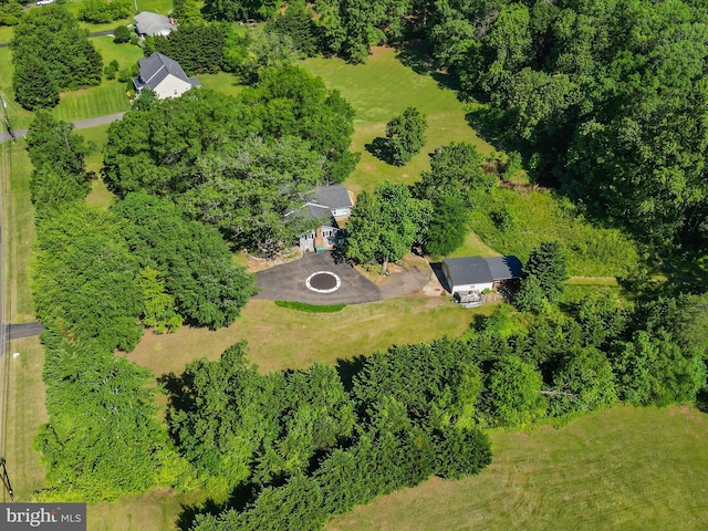bird's eye view