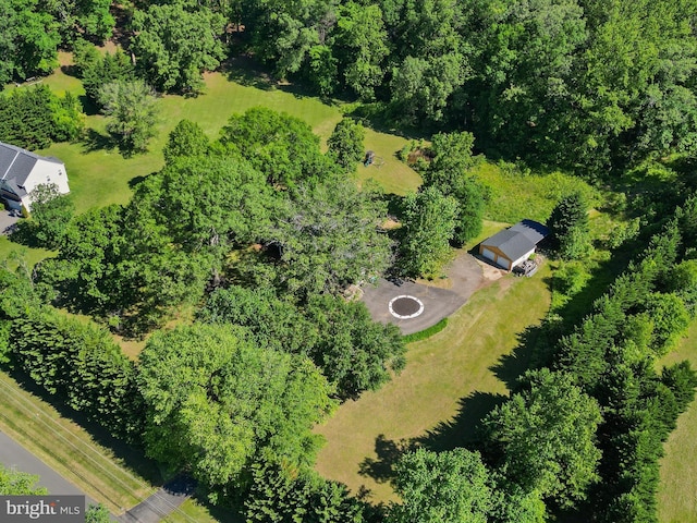 aerial view