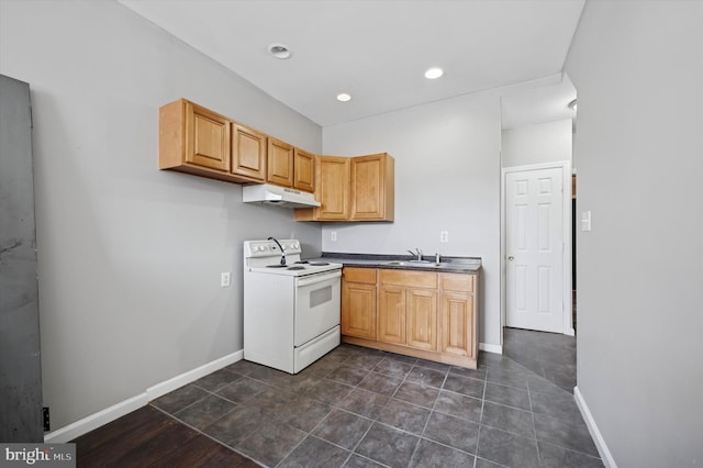 3238 Jasper St, Philadelphia, PA 19134 - kitchen with electric range, under cabinet range hood, a sink, baseboards, and dark countertops