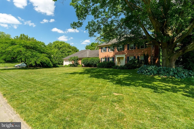 view of grassy yard