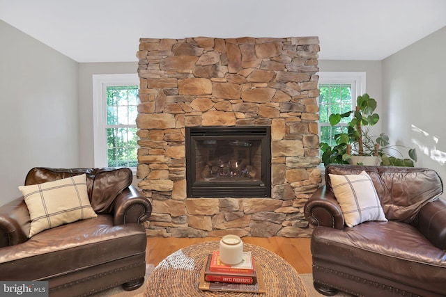 living area featuring wood finished floors, healthy amount of natural light, and a fireplace