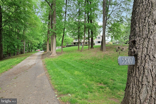 view of asphalt driveway
