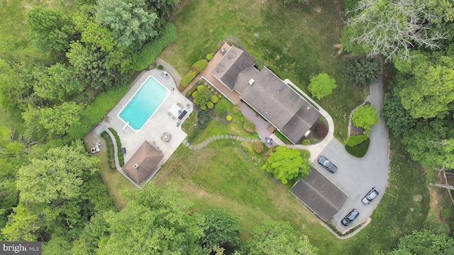 aerial view of a pool