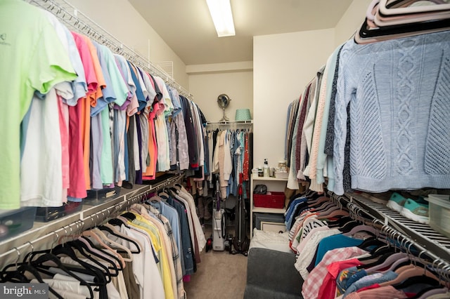 24 Smithfield Way, Fredericksburg, VA 22406 - spacious closet featuring carpet flooring