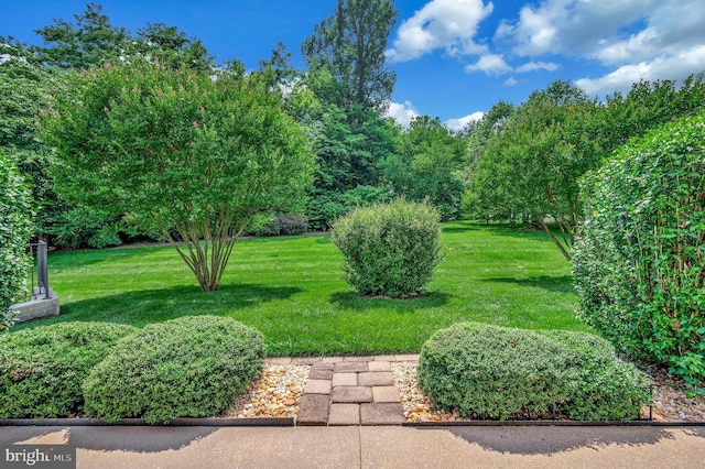 24 Smithfield Way, Fredericksburg, VA 22406 - view of green lawn