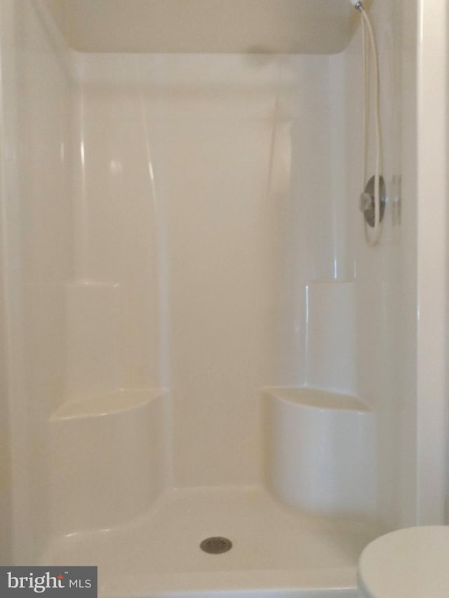 1372 Summerswood Dr, Saint Thomas, PA 17252 - bathroom featuring a shower and toilet