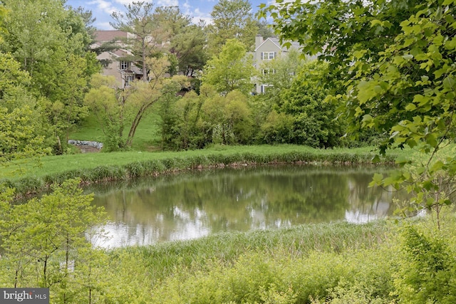 water view