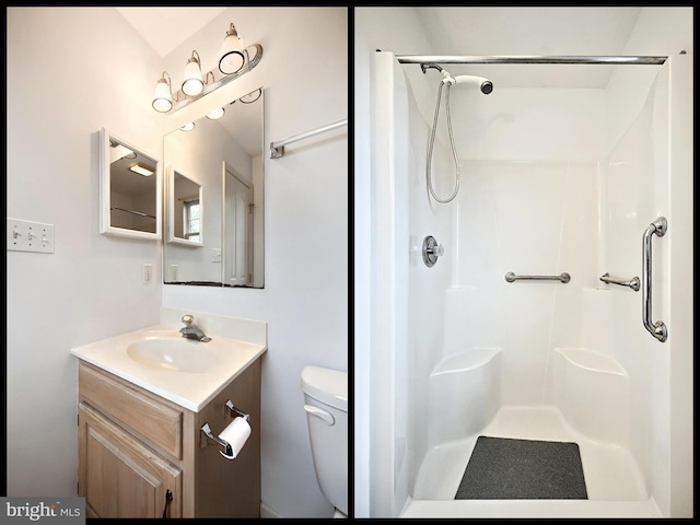 bathroom featuring a shower, vanity, and toilet
