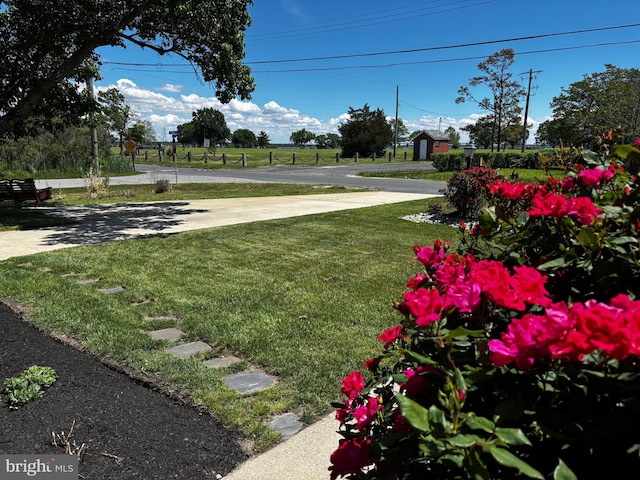 1 Somerset Ave, Cambridge, MD 21613 - view of grassy yard