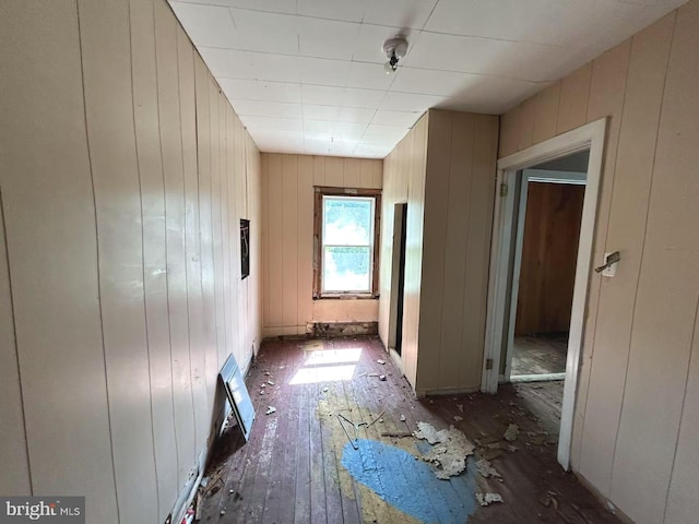 hallway featuring wood walls