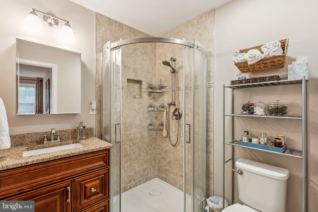 bathroom with a shower stall, toilet, and vanity