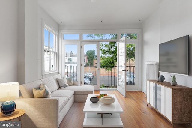 108 3rd St NE, Washington, DC 20002 - living area with light wood-style flooring