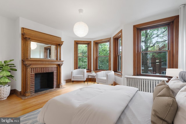 108 3rd St NE, Washington, DC 20002 - bedroom with radiator heating unit, wood finished floors, and a brick fireplace