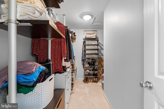 walk in closet featuring carpet floors
