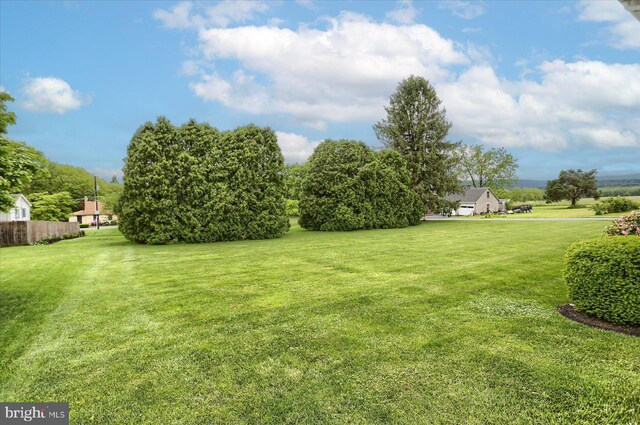 438 N 4th St, Halifax, PA 17032 - view of yard
