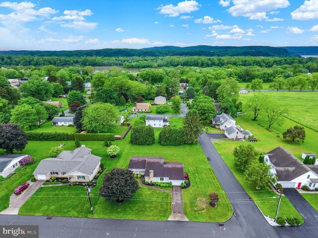 438 N 4th St, Halifax, PA 17032 - aerial view of residential area featuring a forest