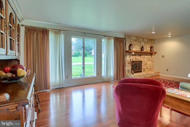 438 N 4th St, Halifax, PA 17032 - living room featuring a fireplace, light wood-style floors, and baseboards
