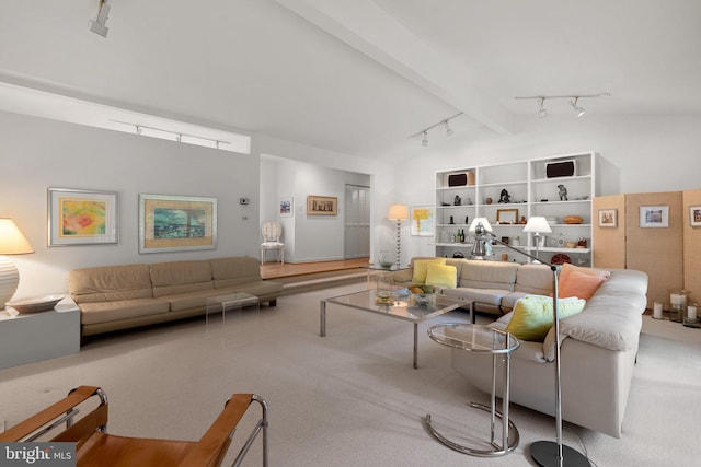 17810 Pond Rd, Ashton, MD 20861 - living room featuring track lighting