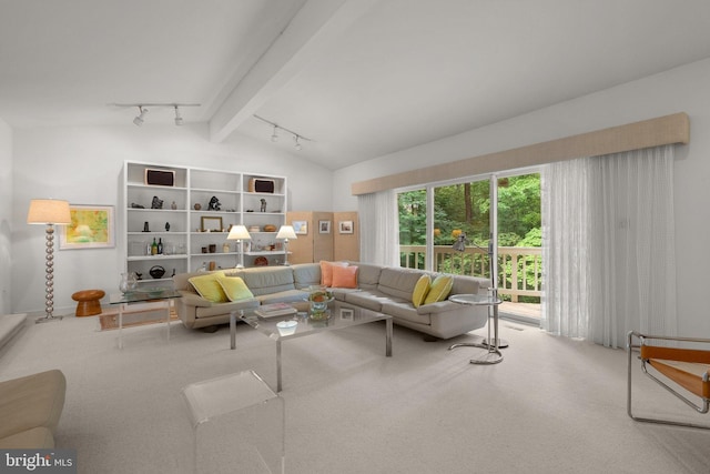 17810 Pond Rd, Ashton, MD 20861 - carpeted living area with track lighting