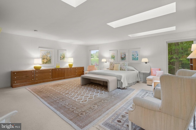17810 Pond Rd, Ashton, MD 20861 - carpeted bedroom featuring a skylight and multiple windows