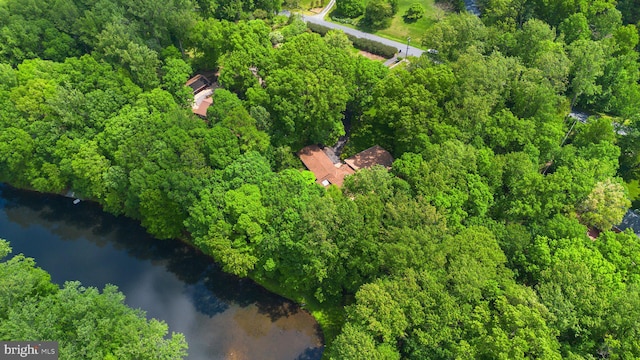 17810 Pond Rd, Ashton, MD 20861 - view of property location with a nearby body of water and a heavily wooded area