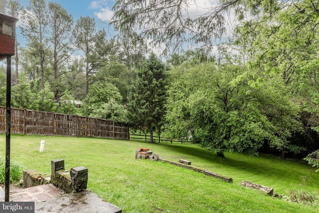 6109 Oakland Mills Rd, Sykesville, MD 21784 - view of yard