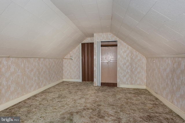 6109 Oakland Mills Rd, Sykesville, MD 21784 - additional living space featuring carpet flooring and lofted ceiling