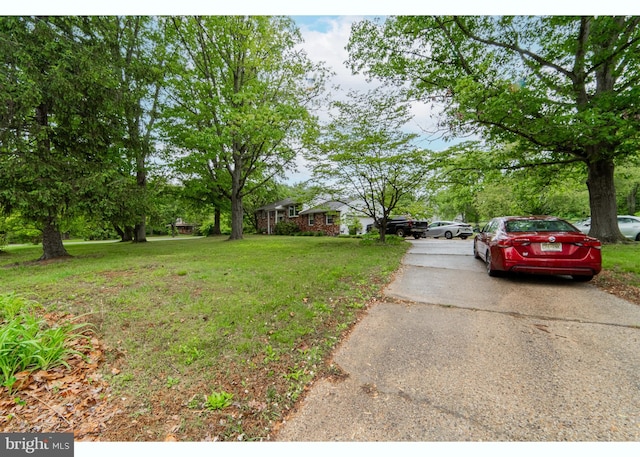 39 Holly Ln, Pilesgrove, NJ 08098 - view of grassy yard featuring driveway