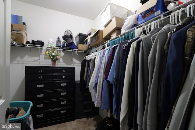 2408 Setter Run Ln, State College, PA 16801 - spacious closet with carpet flooring