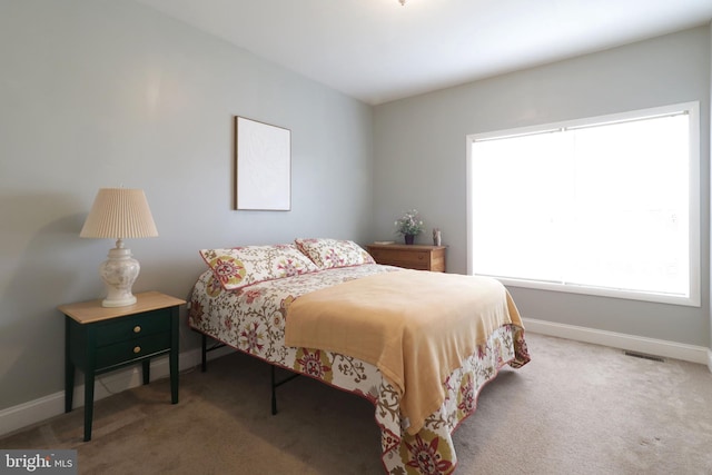 2408 Setter Run Ln, State College, PA 16801 - carpeted bedroom with baseboards