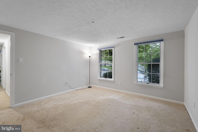 13113 Briarcliff Ter Unit 1-101, Germantown, MD 20874 - empty room with a textured ceiling, carpet flooring, and baseboards