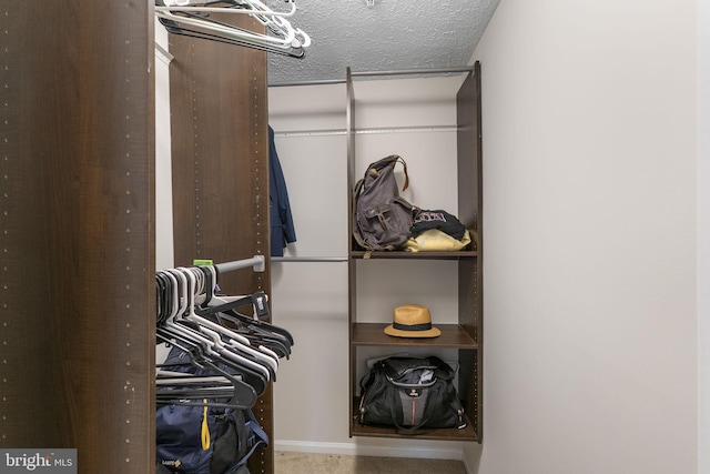 13113 Briarcliff Ter Unit 1-101, Germantown, MD 20874 - view of spacious closet