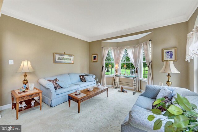 living room featuring carpet, ornamental molding, and baseboards