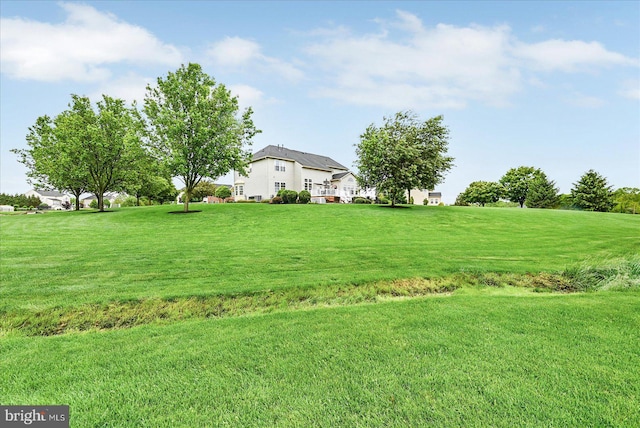 view of grassy yard