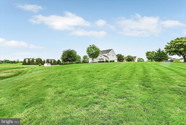 view of grassy yard