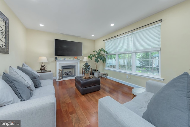 living area featuring baseboards, wood finished floors, a fireplace with flush hearth, and recessed lighting