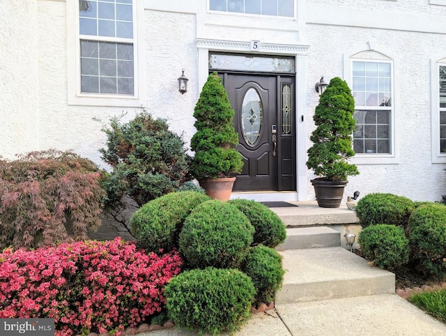 property entrance featuring stucco siding