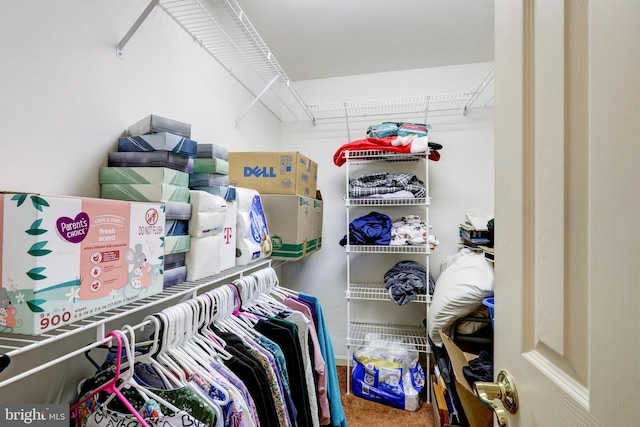 137 S Ronks Rd, Ronks, PA 17572 - spacious closet with carpet flooring