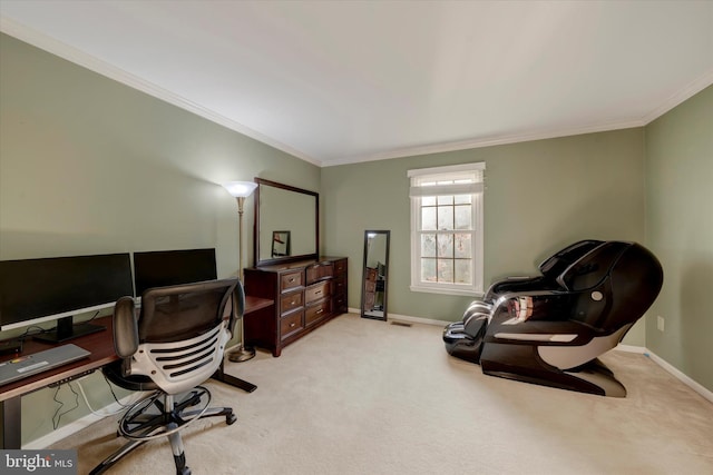 102 Windsong Dr, Doylestown, PA 18901 - office featuring crown molding, light carpet, and baseboards