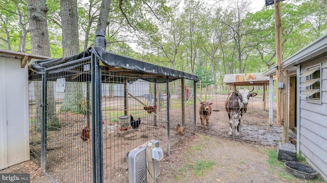 411 Spencer, Galloway, NJ 08205 - view of poultry coop