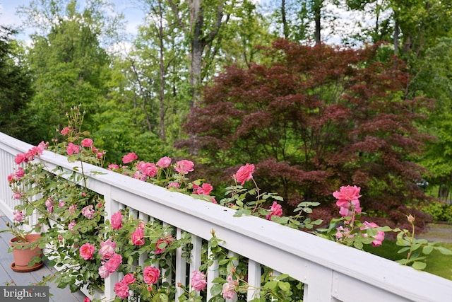 175 Mountain Heights Rd, Front Royal, VA 22630 - view of balcony