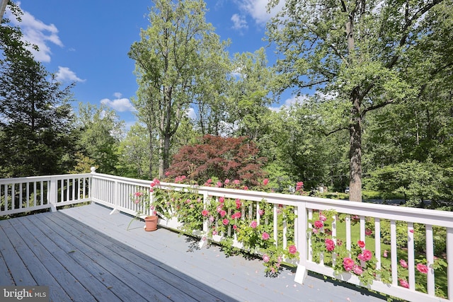 175 Mountain Heights Rd, Front Royal, VA 22630 - wooden deck featuring view of wooded area