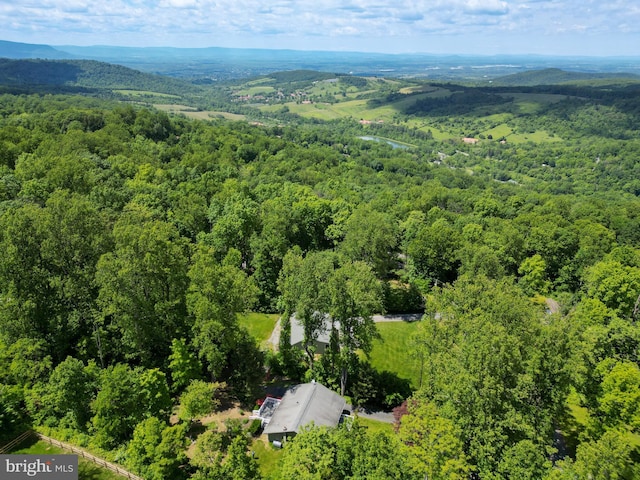 175 Mountain Heights Rd, Front Royal, VA 22630 - bird's eye view of a forest