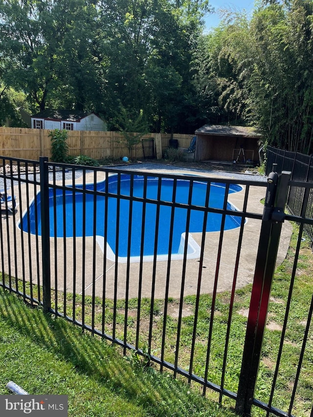599 Claster Blvd, Dauphin, PA 17018 - view of pool