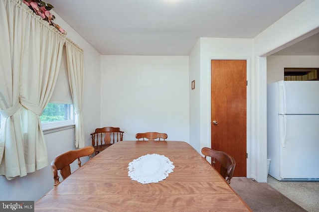 dining space featuring carpet