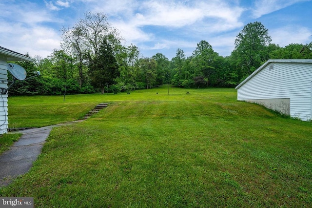 view of green lawn with a wooded view