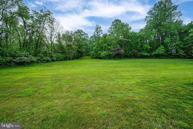 view of green lawn with a wooded view