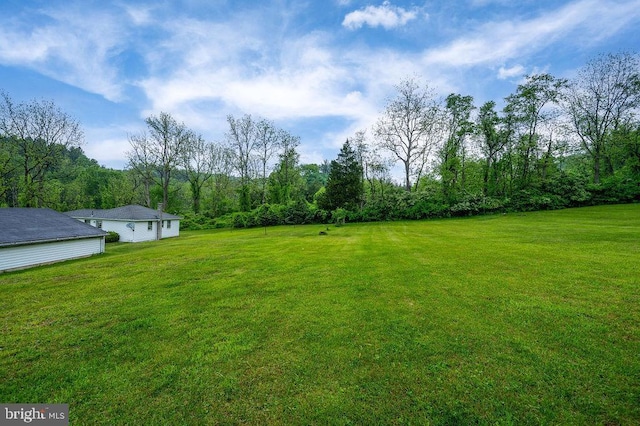 view of green lawn