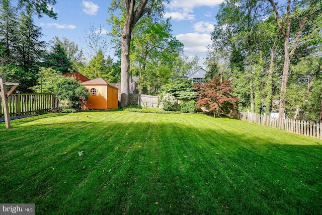 view of yard with a storage shed and an outdoor structure