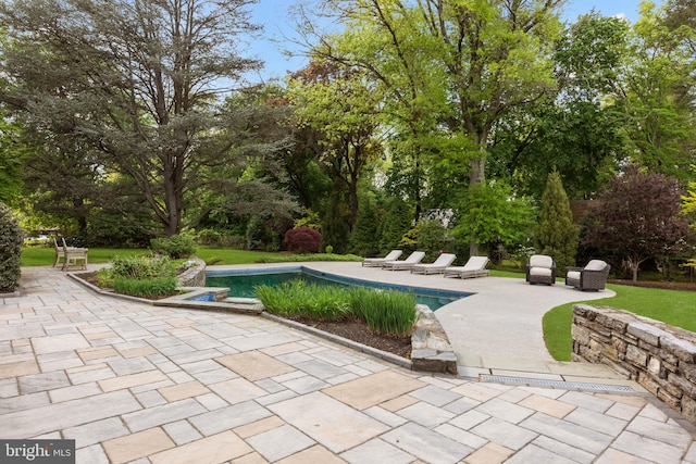 1182 Wrack Rd, Meadowbrook, PA 19046 - view of property's community featuring a patio, a swimming pool, view of wooded area, and a yard